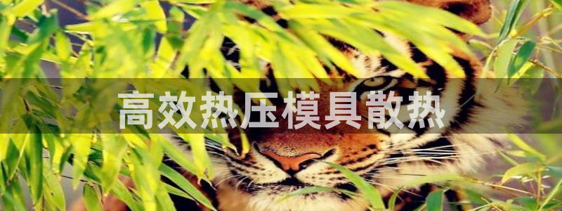 易倍网络技术有限公司官网
