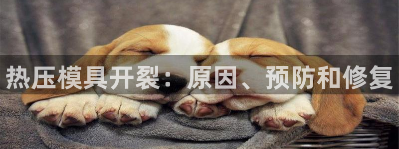 易倍纤能减肥吗
