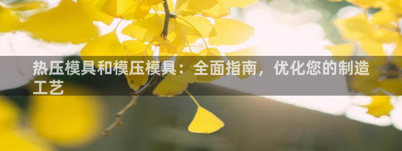 EMC易倍