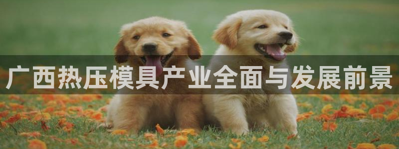 易倍纤官网