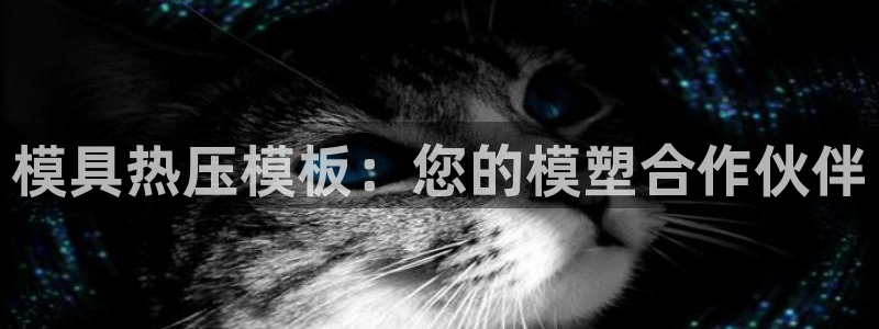 易倍达科技有限公司怎么样