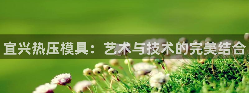 北京易倍思教育怎么样
