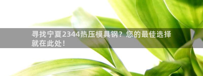 易倍达科技有限公司怎么样