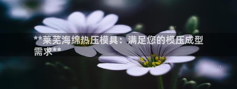 易倍app网站