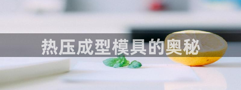 易倍单词官方网站
