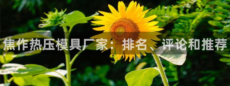 emc易倍网站是多少：焦作热压模具厂家：排名、评论和推荐