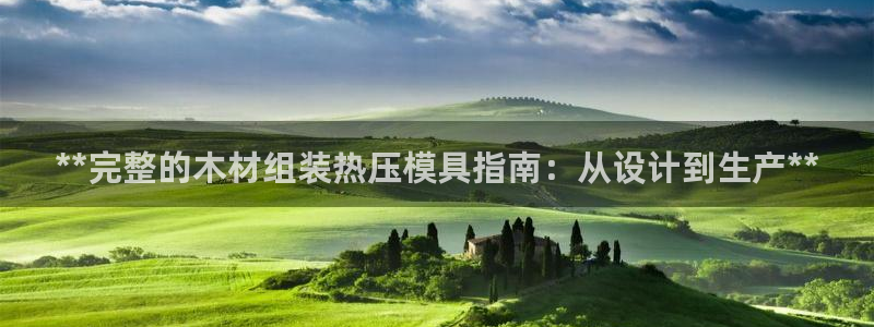 易倍申效果怎么样：**完整的木材组装热压模具指南：从设计
