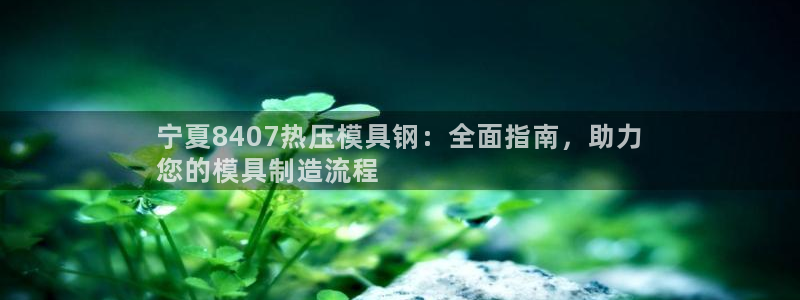 上海易倍投资有限公司：宁夏8407热压模具钢：全面指南，