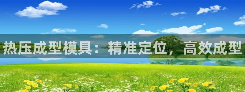 易倍EMC网址：热压成型模具：精准定位，高效成型
