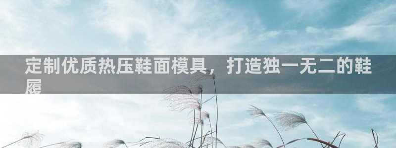 易倍emc安全吗：定制优质热压鞋面模具，打造独一无二的鞋