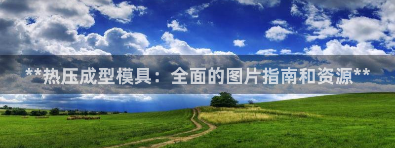 易倍申可以长期服用吗：**热压成型模具：全面的图片指南和