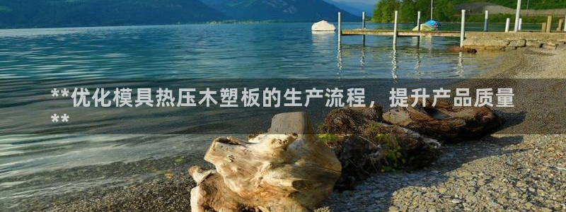 易倍申效果怎么样：**优化模具热压木塑板的生产流程，提升