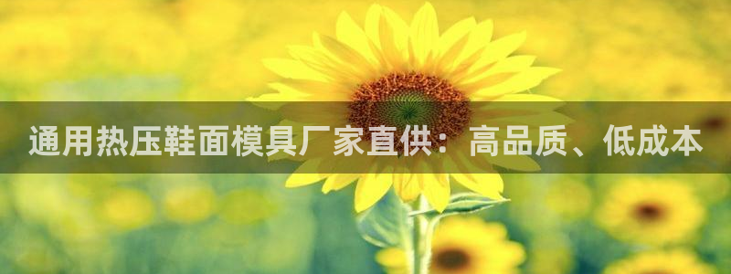 易倍申价格：通用热压鞋面模具厂家直供：高品质、低成本
