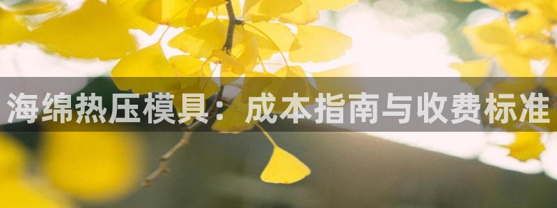 易倍单词app下载：海绵热压模具：成本指南与收费标准