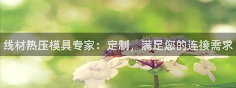 emc32软件：线材热压模具专家：定制，满足您的连接需求
