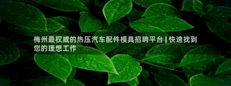 emc倍频超了：梅州最权威的热压汽车配件模具招聘平台 |