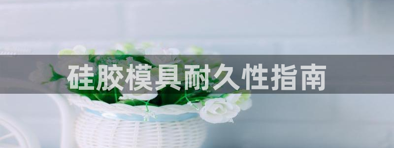 易倍电竞：硅胶模具耐久性指南