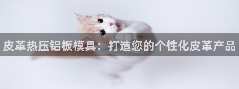 易倍单词官方网站登录：皮革热压铝板模具：打造您的个性化皮