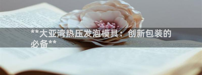 易倍达科技有限公司：**大亚湾热压发泡模具：创新包装的
