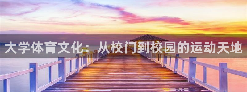 vsport体育在线官网