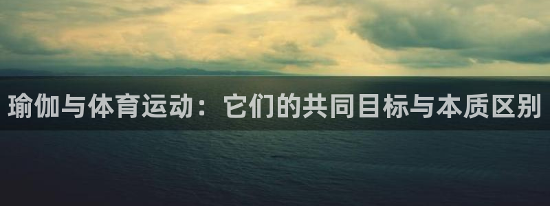 vsport体育在线官网