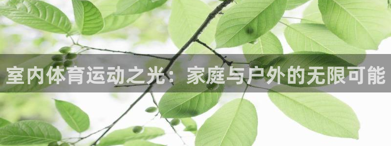 vsport体育