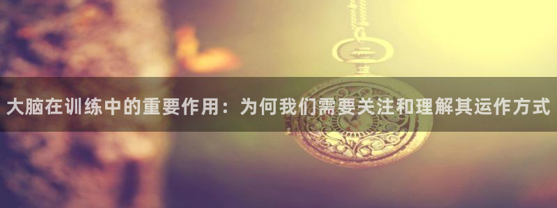 vsport体育在线官网