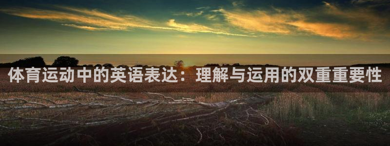 vsport体育在线官网