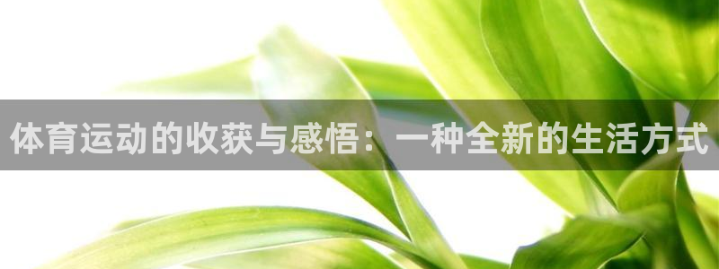 vsport体育