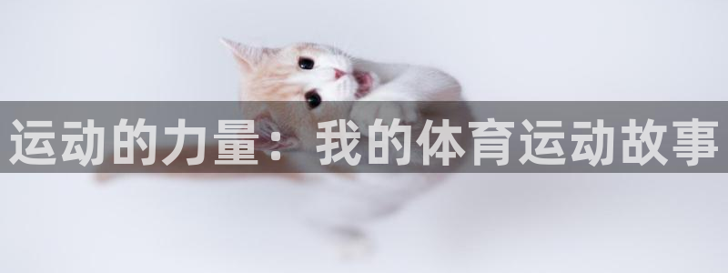 vsport体育在线官网