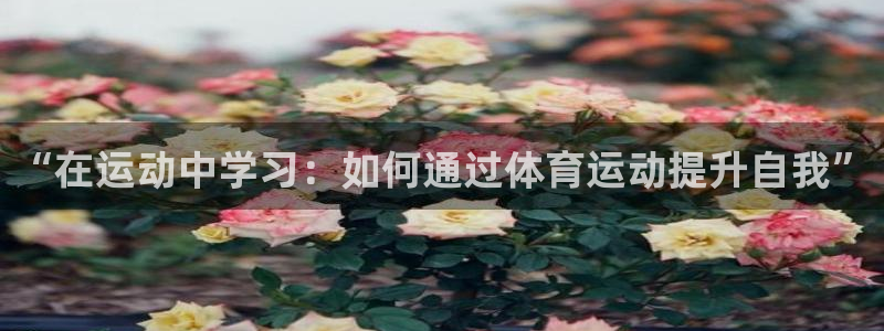 vsport体育