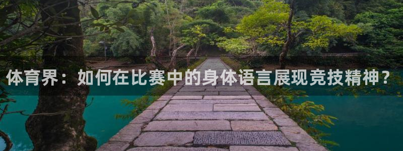 vsport体育在线官网