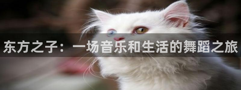 vsport体育在线官网
