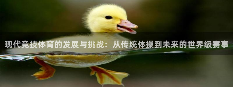 vsport体育在线官网
