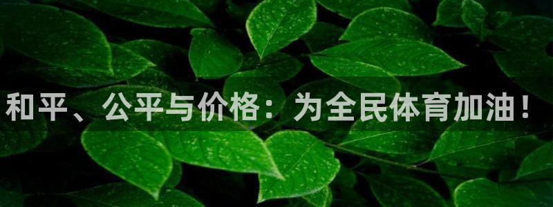 vsport体育