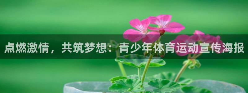 vsport体育在线官网