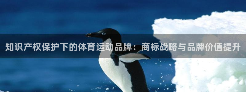vsport体育在线官网