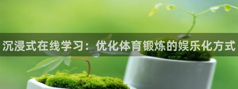 vsport体育在线官网