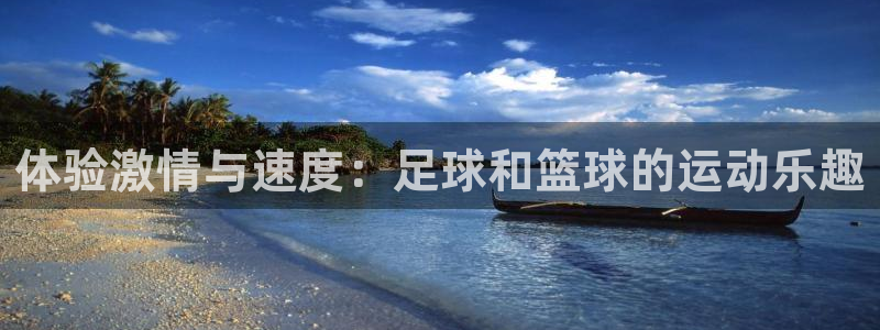 vsport体育在线官网