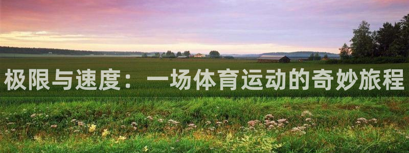 vsport体育在线官网