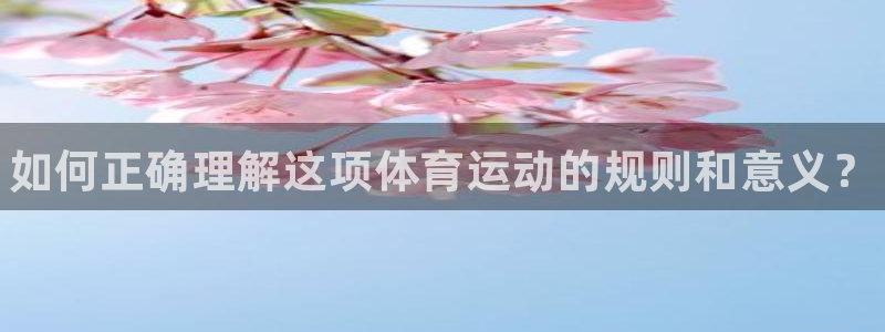 vsport体育在线官网