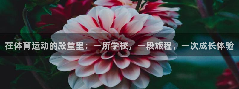 vsport体育在线官网