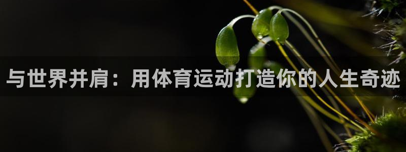 vsport体育在线官网