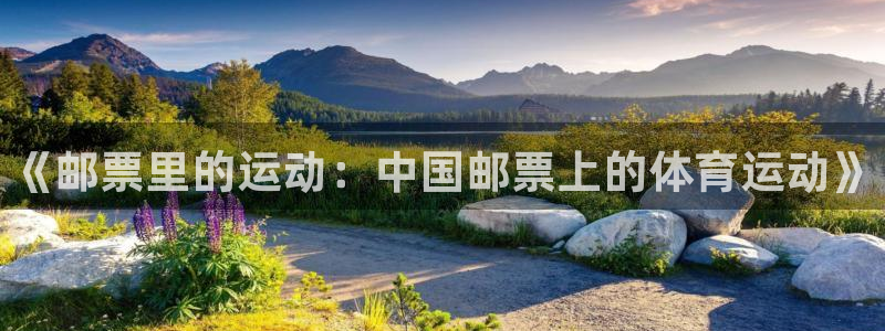 vsport体育在线官网