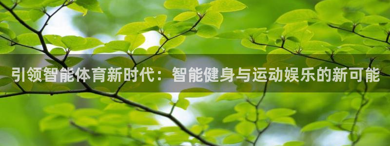vsport体育在线官网