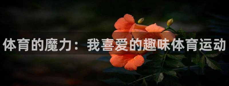 vsport体育在线官网