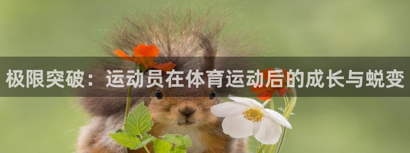 vsport体育在线官网