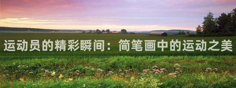 vsport体育在线官网