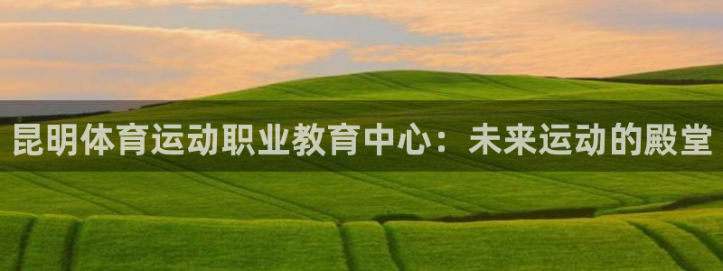 vsport体育在线官网