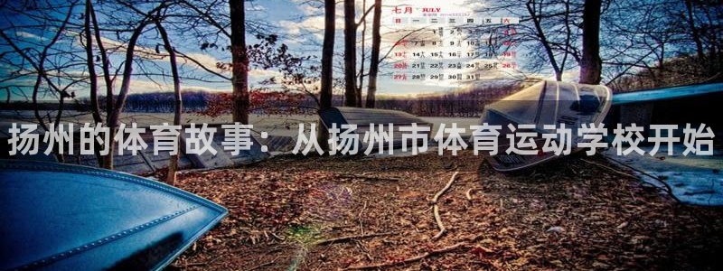 vsport体育在线官网